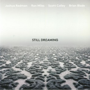 STILL DREAMING (FEAT. RON MILES, SCOTT COLLEY & BRIAN BLADE) CD
